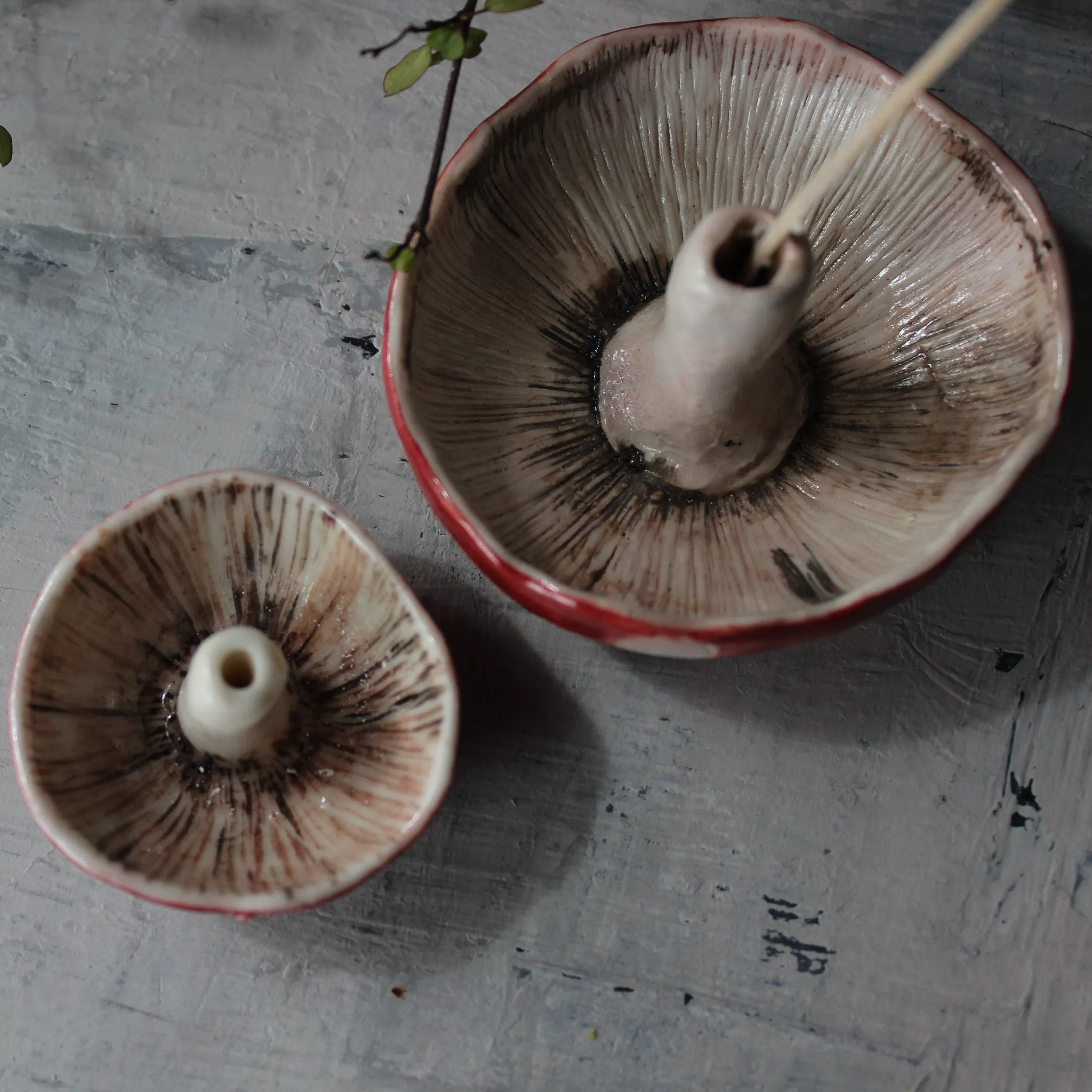 Ceramic Mushroom Specimen Keeper / Incense Holder Dishes