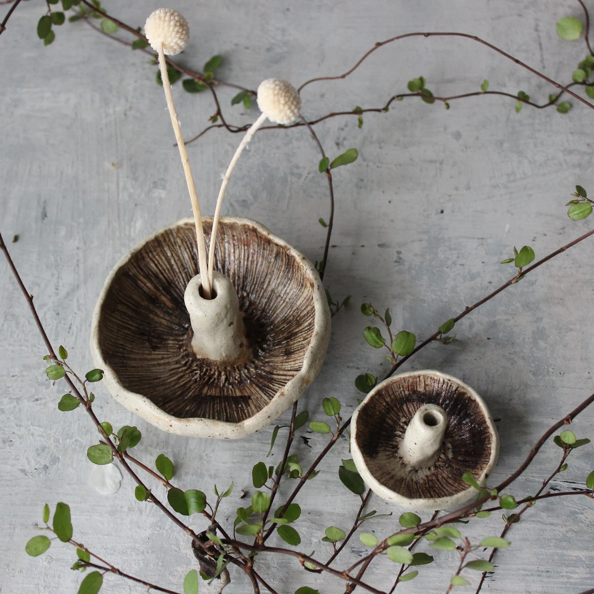 Ceramic Mushroom Specimen Keeper / Incense Holder Dishes