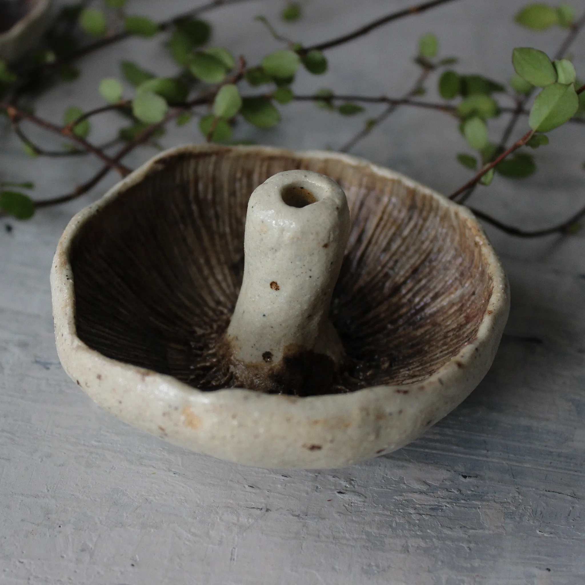 Ceramic Mushroom Specimen Keeper / Incense Holder Dishes