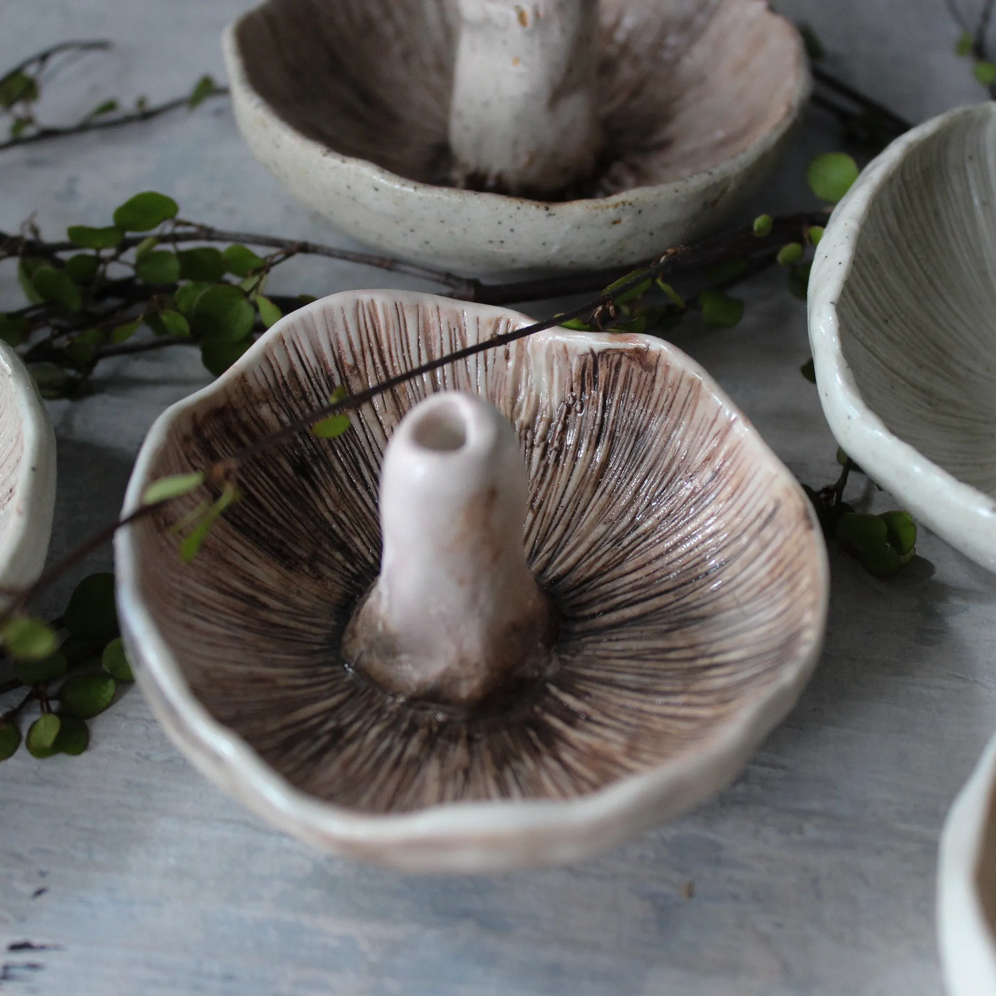 Ceramic Mushroom Specimen Keeper / Incense Holder Dishes