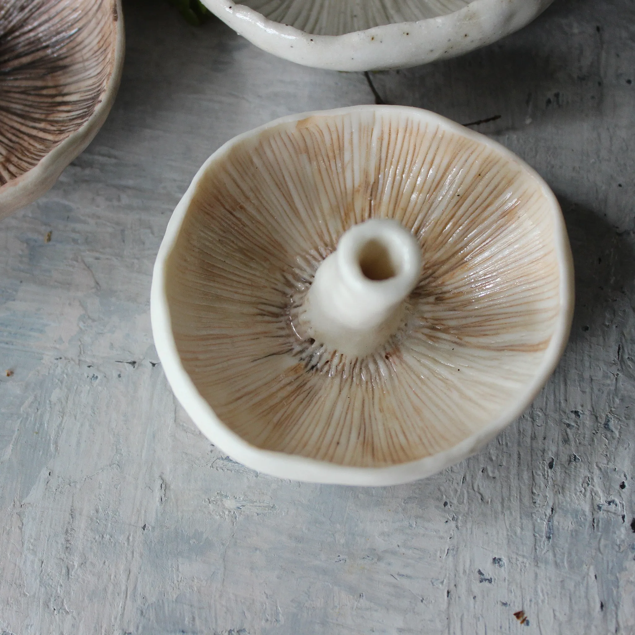 Ceramic Mushroom Specimen Keeper / Incense Holder Dishes