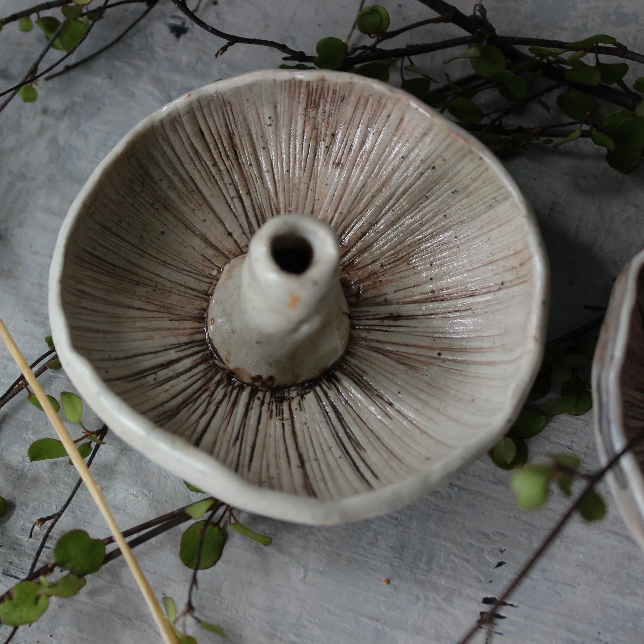 Ceramic Mushroom Specimen Keeper / Incense Holder Dishes