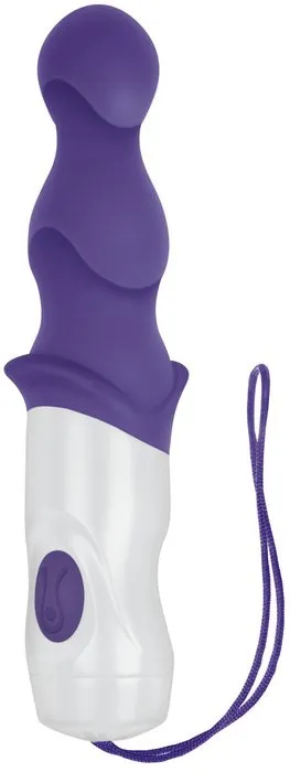 (d) Wet & Wild Anal Vibrator W Shower Hook