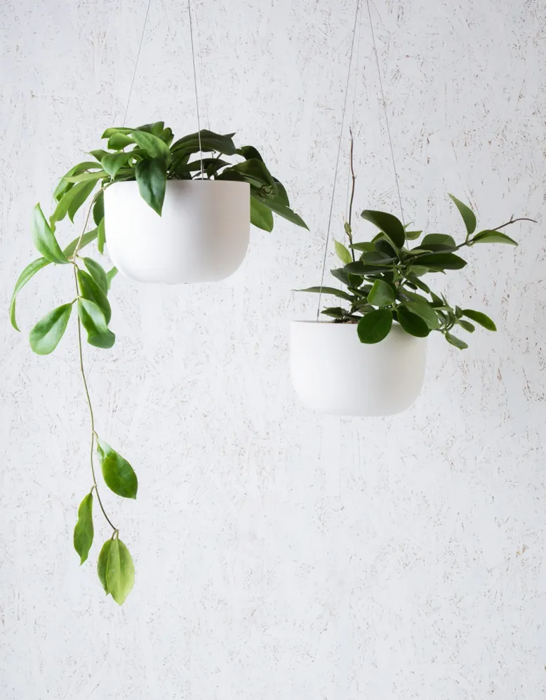 Earth Hanging Pot