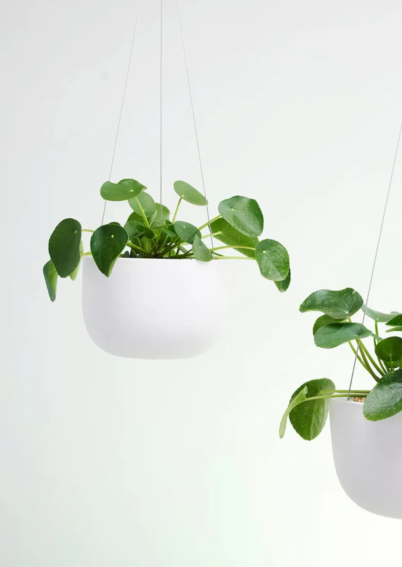 Earth Hanging Pot