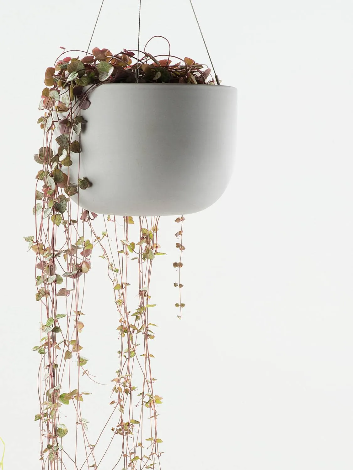 Earth Hanging Pot