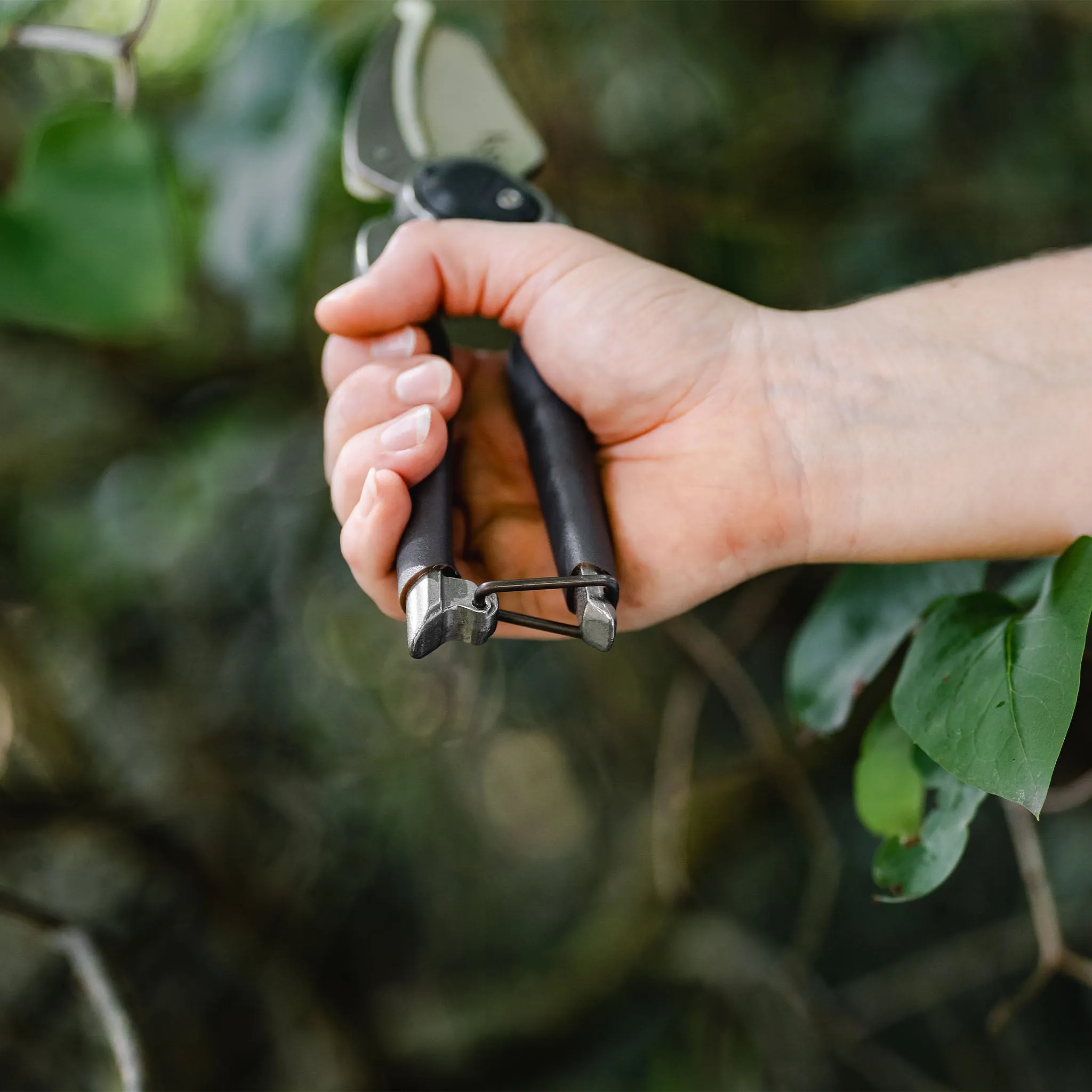 Kent & Stowe Traditional Hard Wood Secateurs