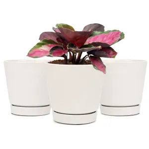 Pack of 3 6 inch White Minimalist Pot with Saucer