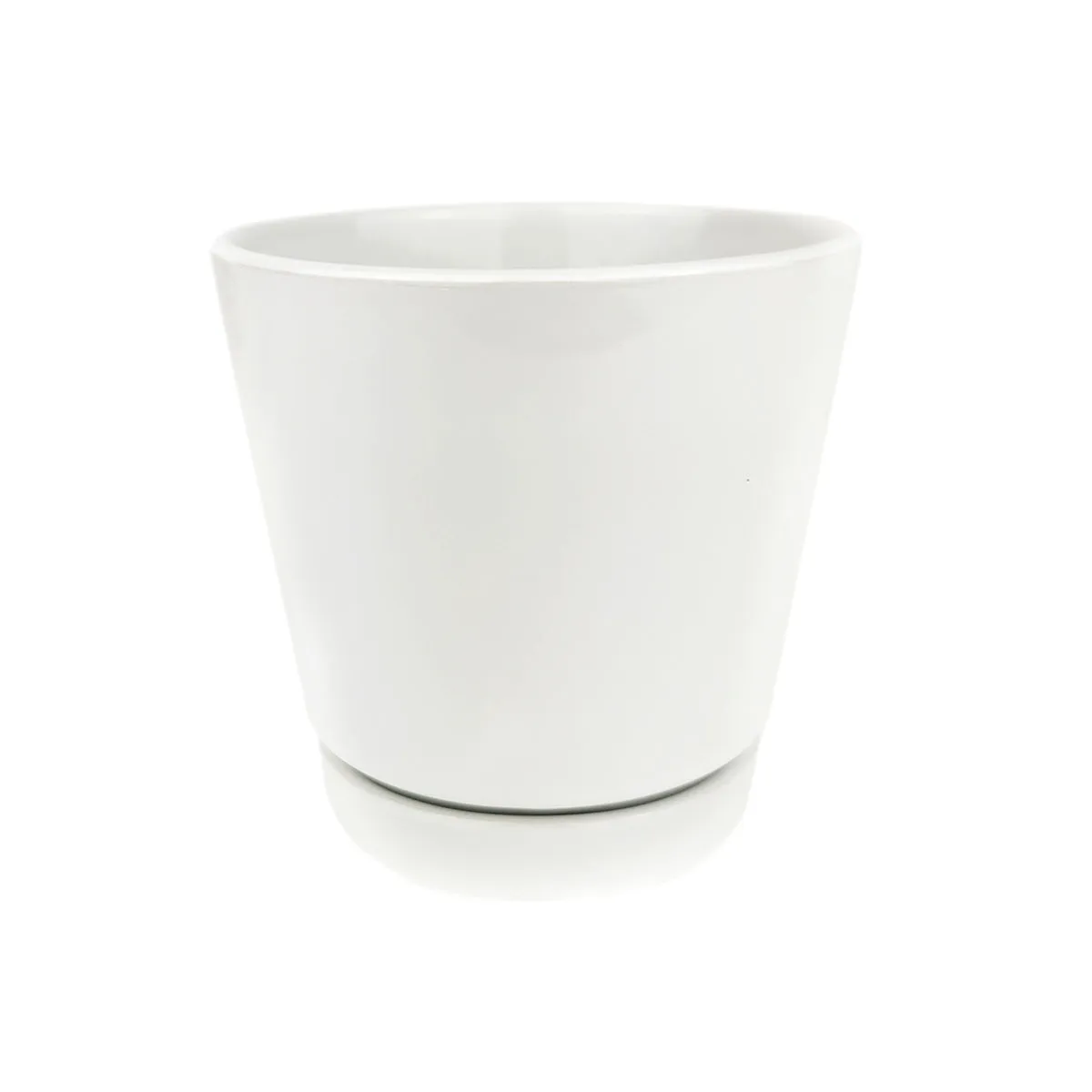 Pack of 3 White Minimalist Ceramic Pots